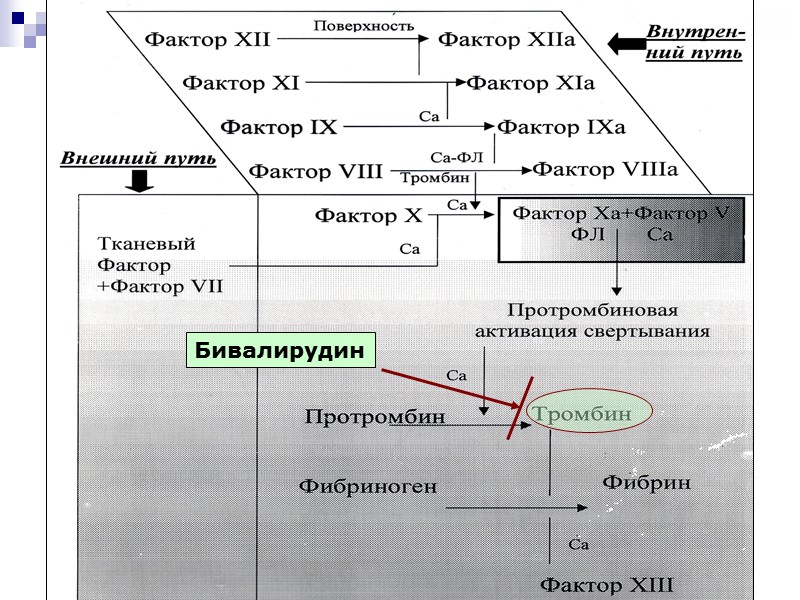 Бивалирудин